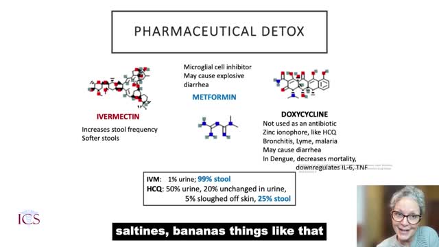 ICS 2022 (France) M.Aranda « Spikopathy: detox and elimination »