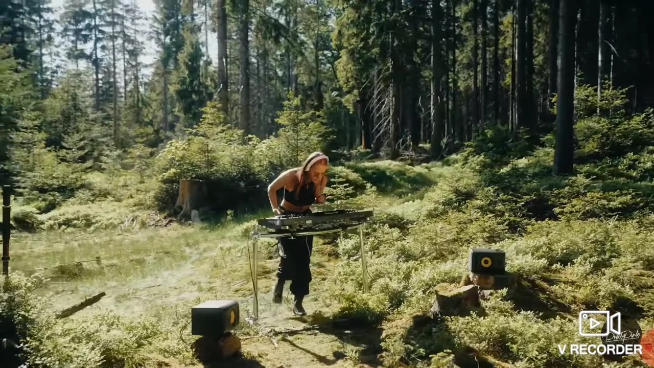 Owning some Lozzahs like Meffward, P3do Defense Force and Sillycon Valley Sploooge Members 😅😅🤣