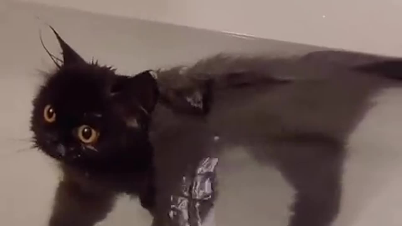 It's bath time bro 🥰❤️😀