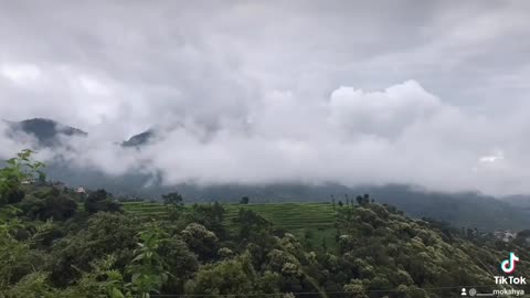 Nature time lapses