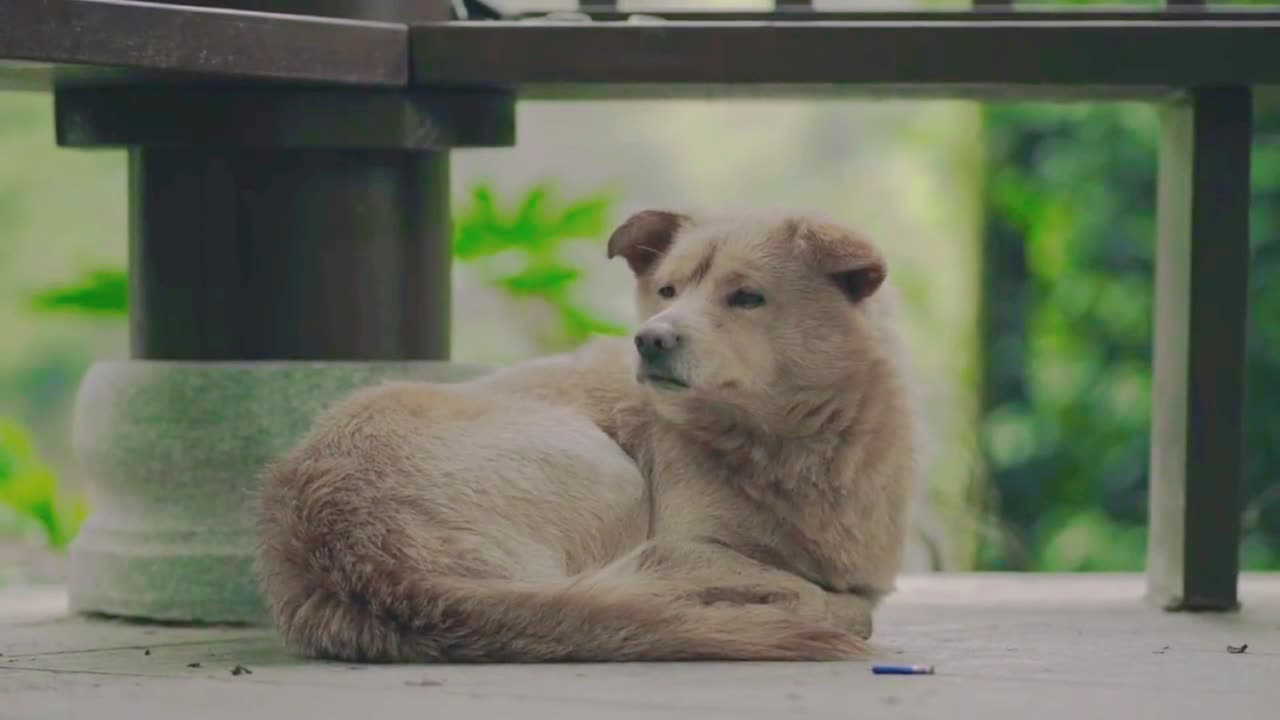 Moment under the lens