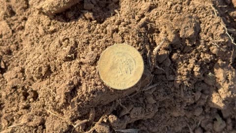 1919 Commonwealth Of Australia Penny Metal Detecting