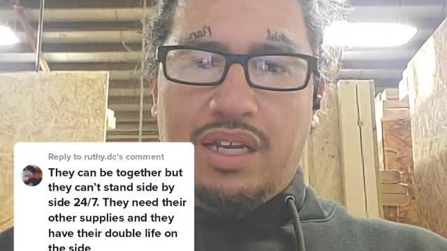 3D-7D Life Mental Coach Red Pill