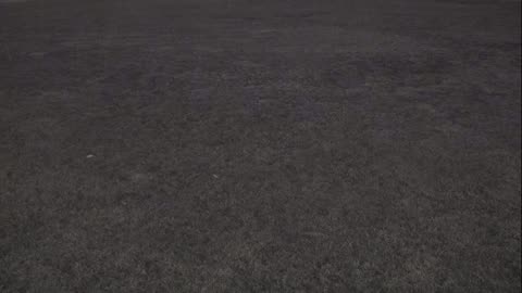 7231USCG00EastFrontHouseEgg_2021-01-05_21h35min58s443ms.mp4