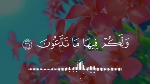 قرآن |سورة فصلت |الآيات 30-31 Quran |surah Fussilat |Quranic verse 30-31