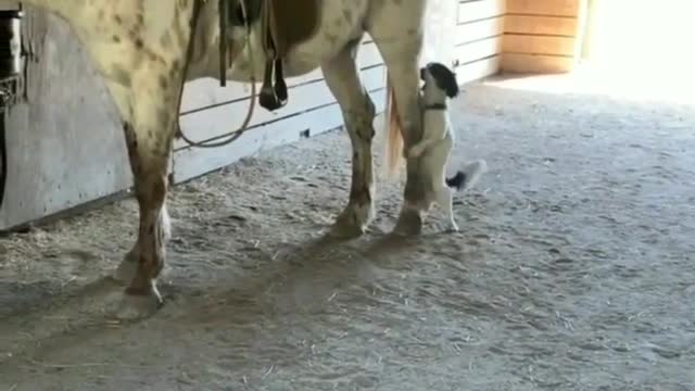 What are you doing baby there?