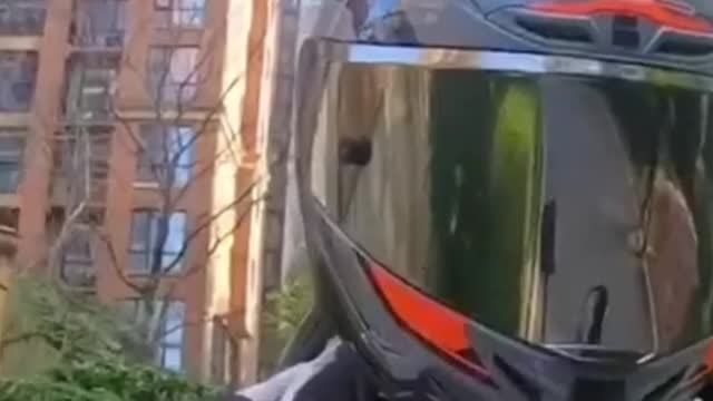 Put a helmet on a cat and ride a motorcycle together