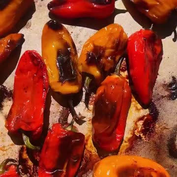 Meal 🍽️🍴🌶️