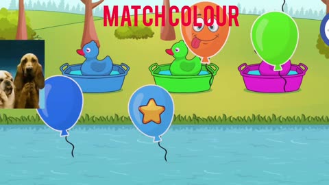 Match Colour/Toddler Learning/Cartoon Ducks/ Pre K/Cartoon