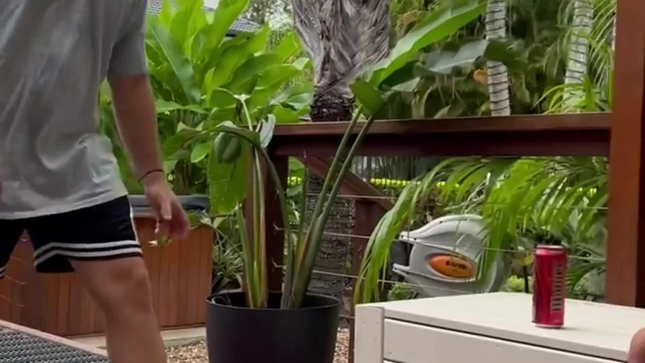 cuteness shammi and friends, Part 1