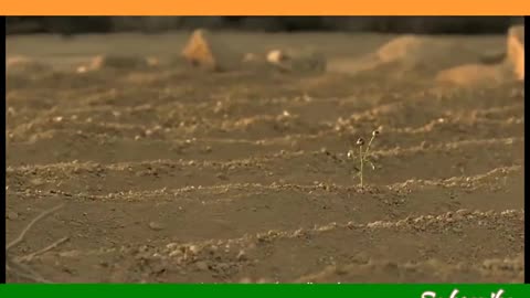 Happy Independence Day, Superhit Desh Bhakti Song, Independence Day Special 2023