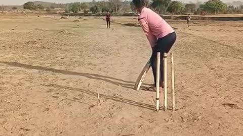 Cricket