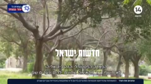 עוזבים את העיר המשפחות שהתייאשו מכנופיות המהגרים בדרום תא שתוקפות באכזריות עוברים ושבים