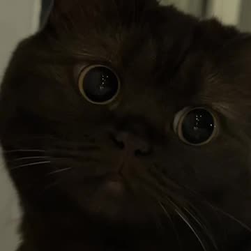 Love those eyes 😍😍😍😊