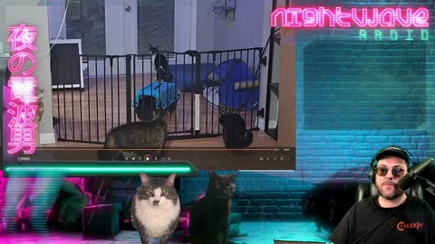 Queen Mersh bans a sperg in the chat