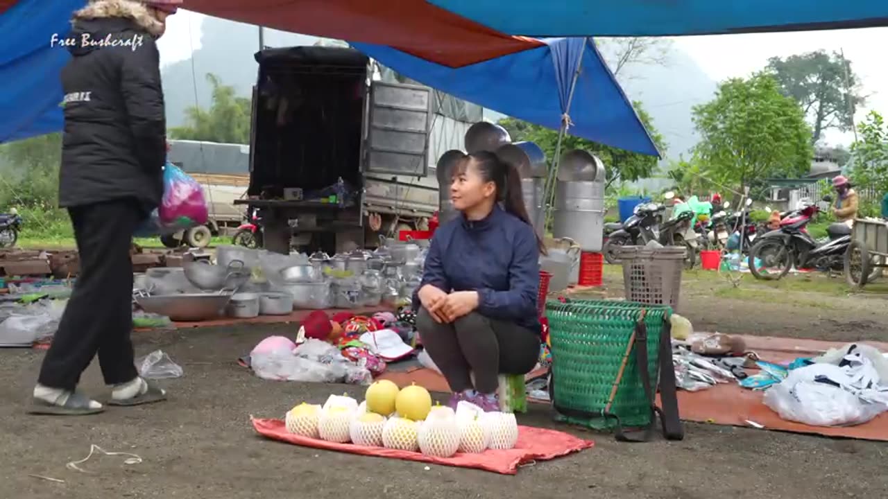 Harvesting Cantaloupe goes to country side market sell ...