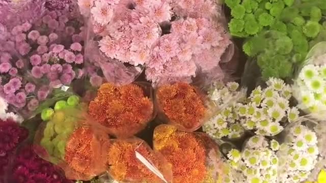 flower shopping💐✨