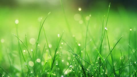 Relaxing Music | Sleeping, Meditation, Stress Relief | [6779] ⭐️