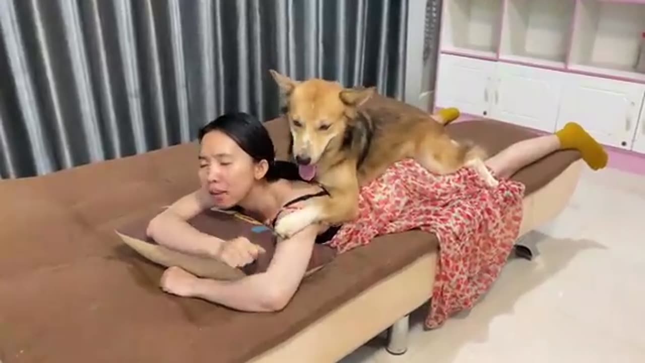 Aww! When Kwan need KOKO help massage but KOKO need to play very much