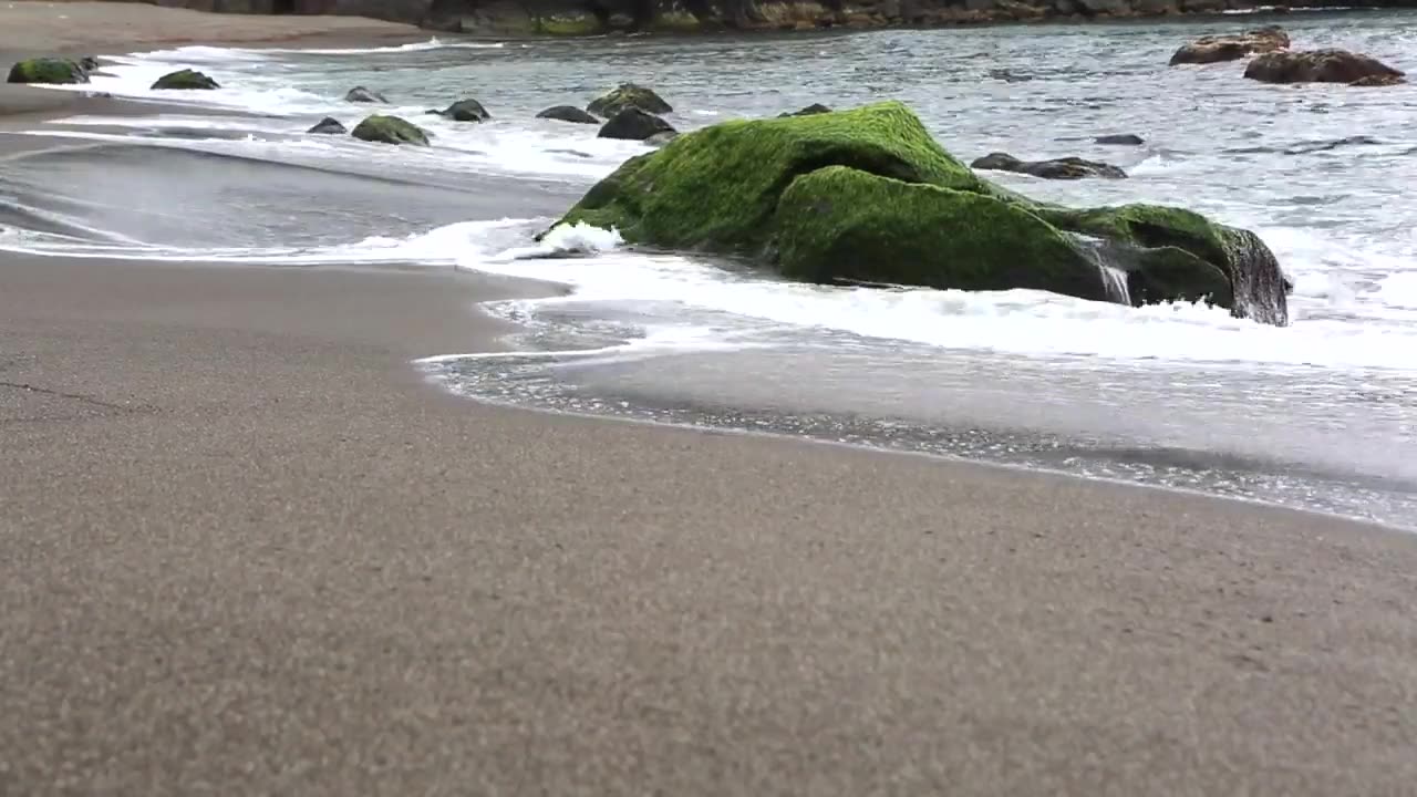 Beautiful Beach | Sea Waves | Creative
