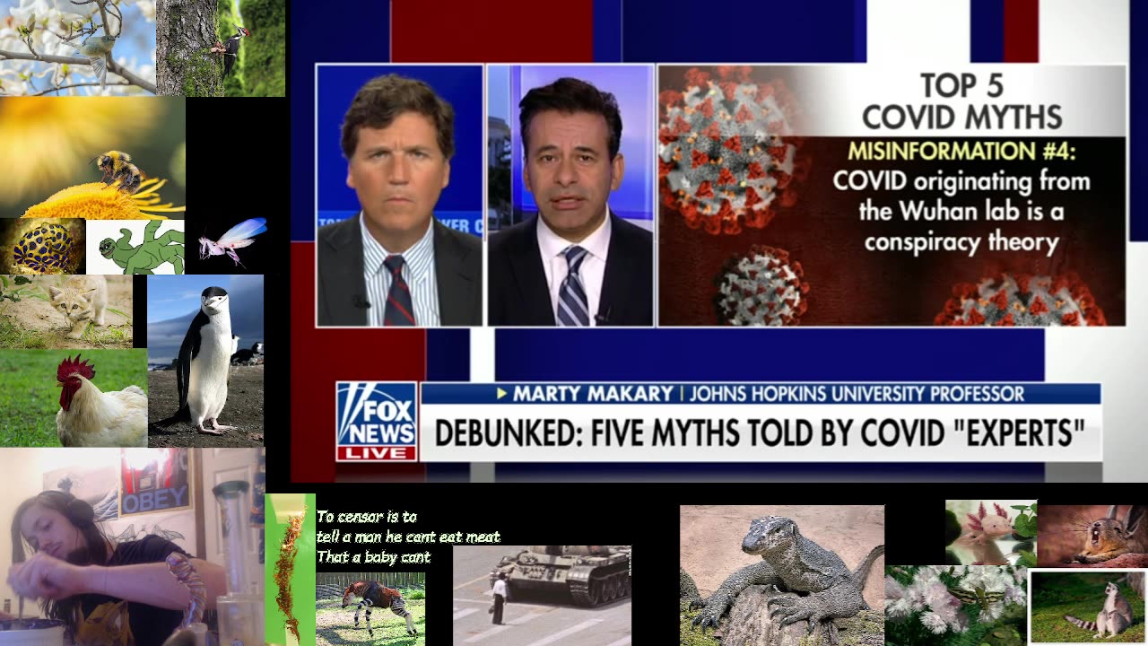 Tucker Carlson Tonight 2/28/2023 Watchalong