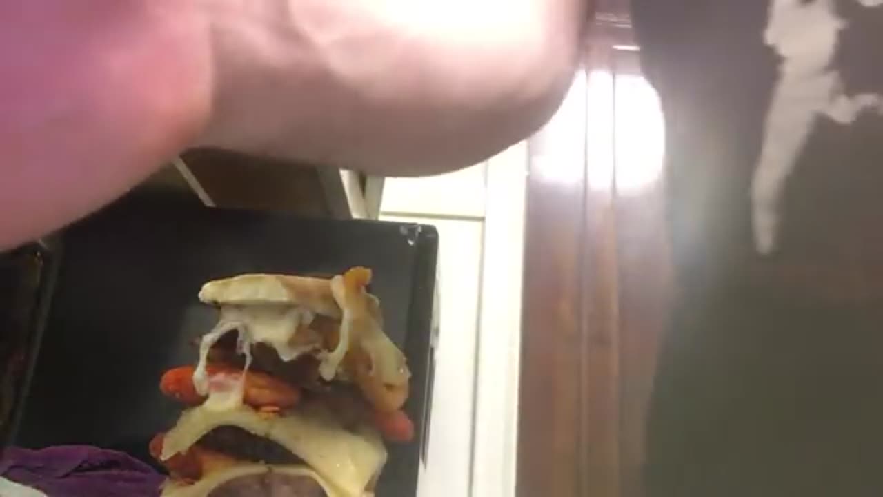 KingCobraJFS Dec 24, 2017 "Doritos Loaded breakfast burger and food 4 thought"