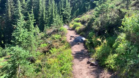 Oregon – Mount Hood – Timberline Loop – Day-Hike of NW Section – FULL – PART 3/4