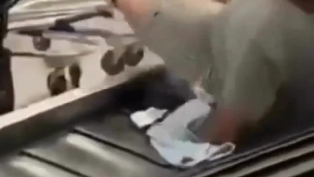 Bagaj la cala!