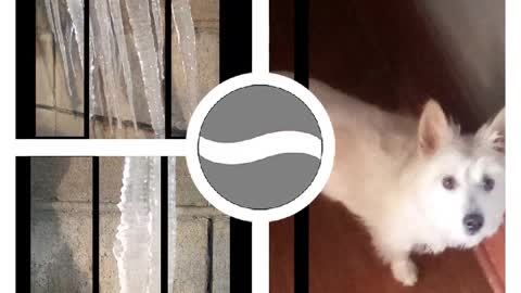 today video