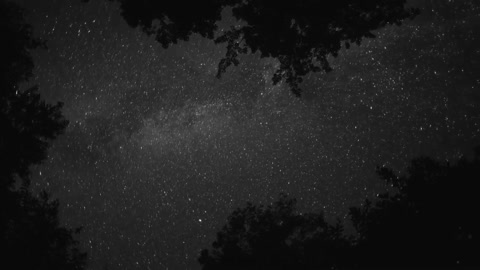 Relaxing Music | Sleeping, Meditation, Stress Relief | [1295] ⭐️