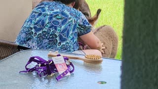 Mama loving her miniature donkey fur baby