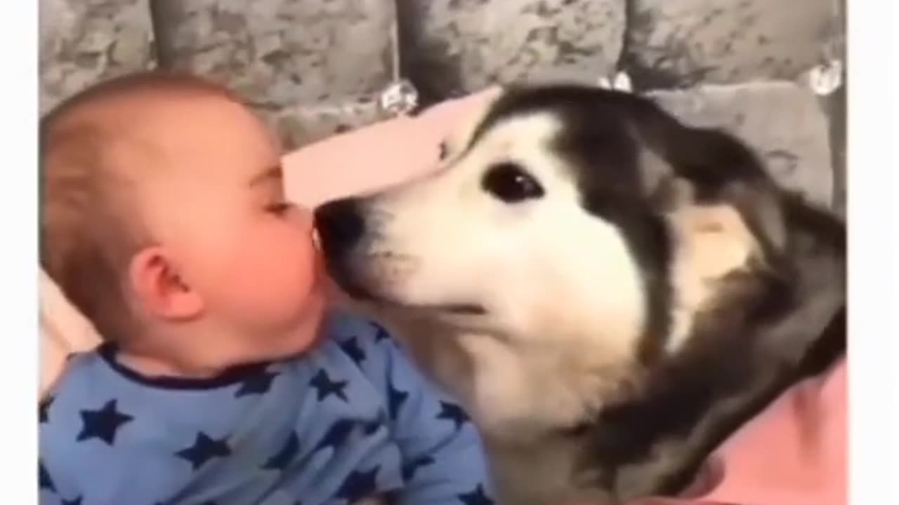 Dogs love with child