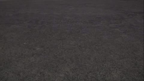 7231USCG00EastFrontHouseEgg_2021-01-05_18h32min48s987ms.mp4