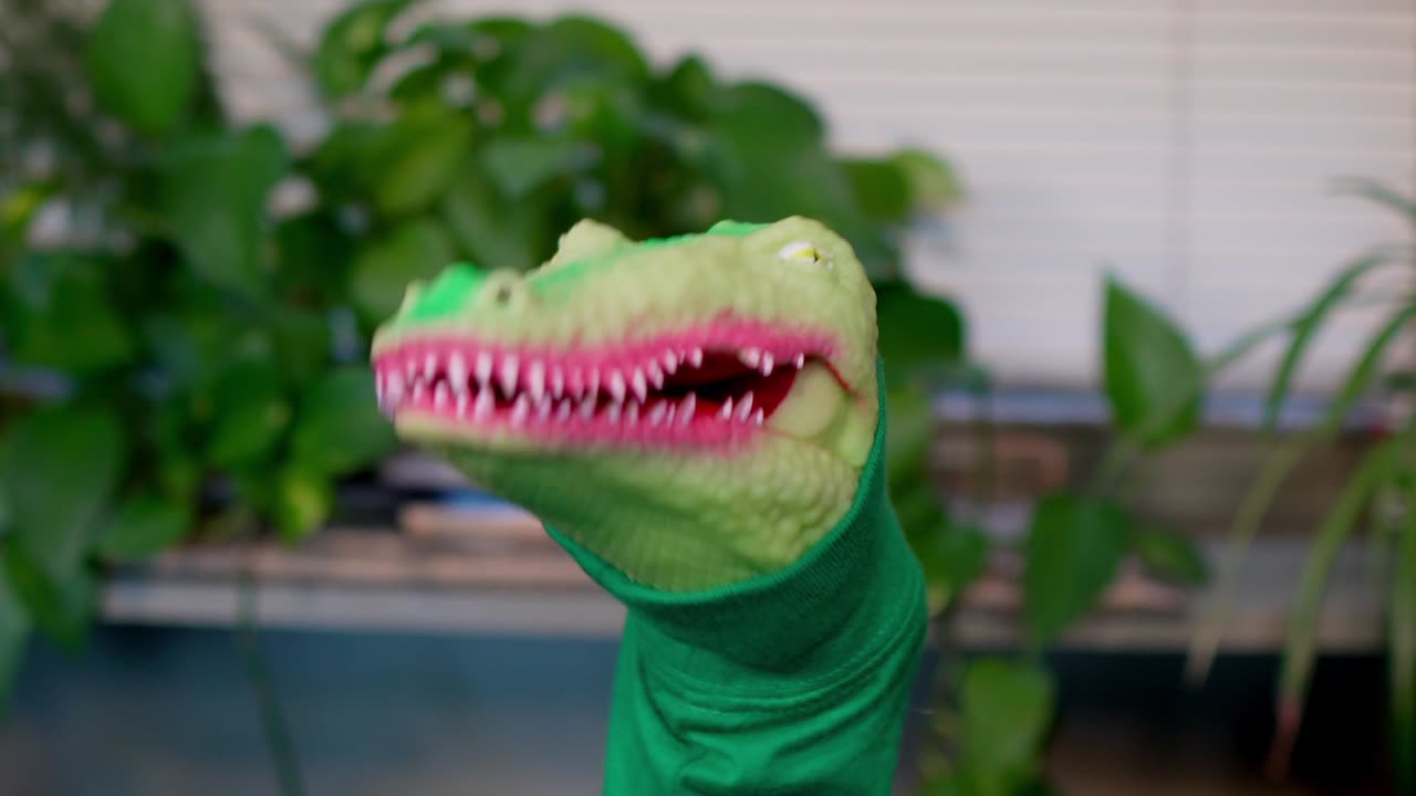Franklin the Frog