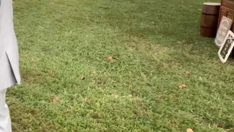 Going to a wedding...