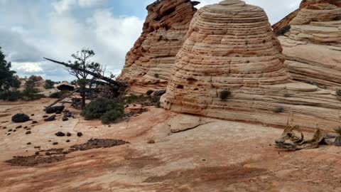 Pack Goat over the Canaan Mountain, Squirrel Canyon Trail, Southern Utah