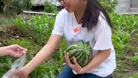 A story of watermelon I funny video #3 #shorts #funnyvideo #funny #comedy