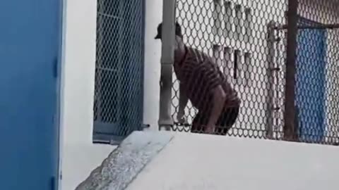 #skate #skateboarding #skatelife #skateboard