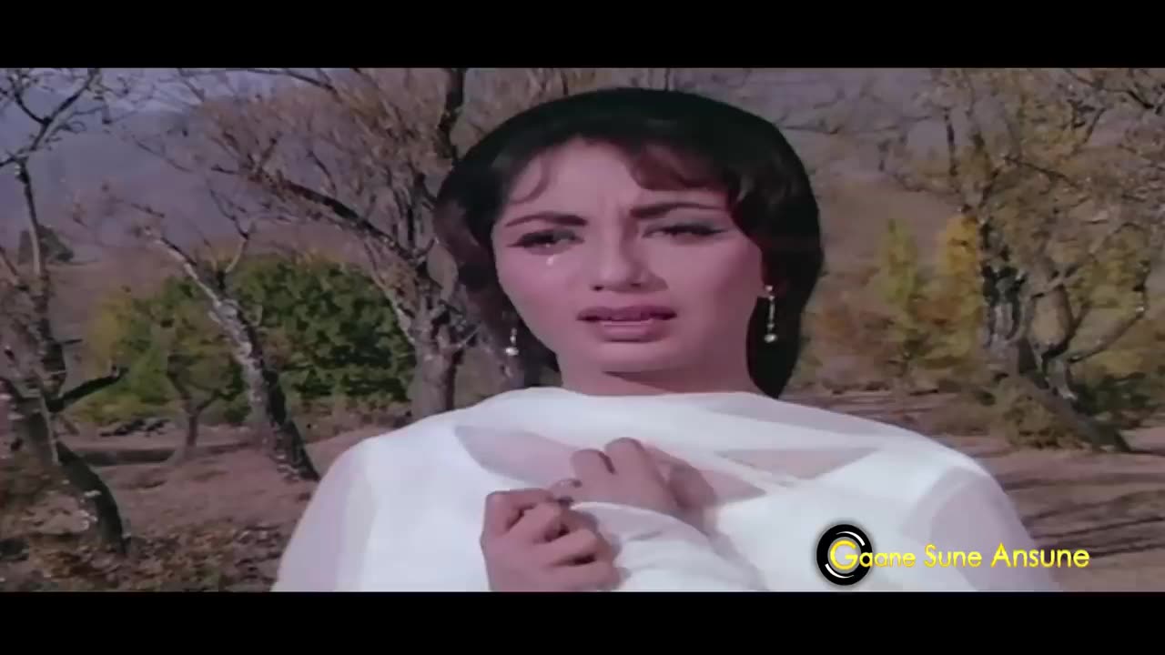 Bedardi Balma Tujhko | Lata Mangeshkar | Arzoo 1965 Songs | Sadhana, Rajendra Kumar