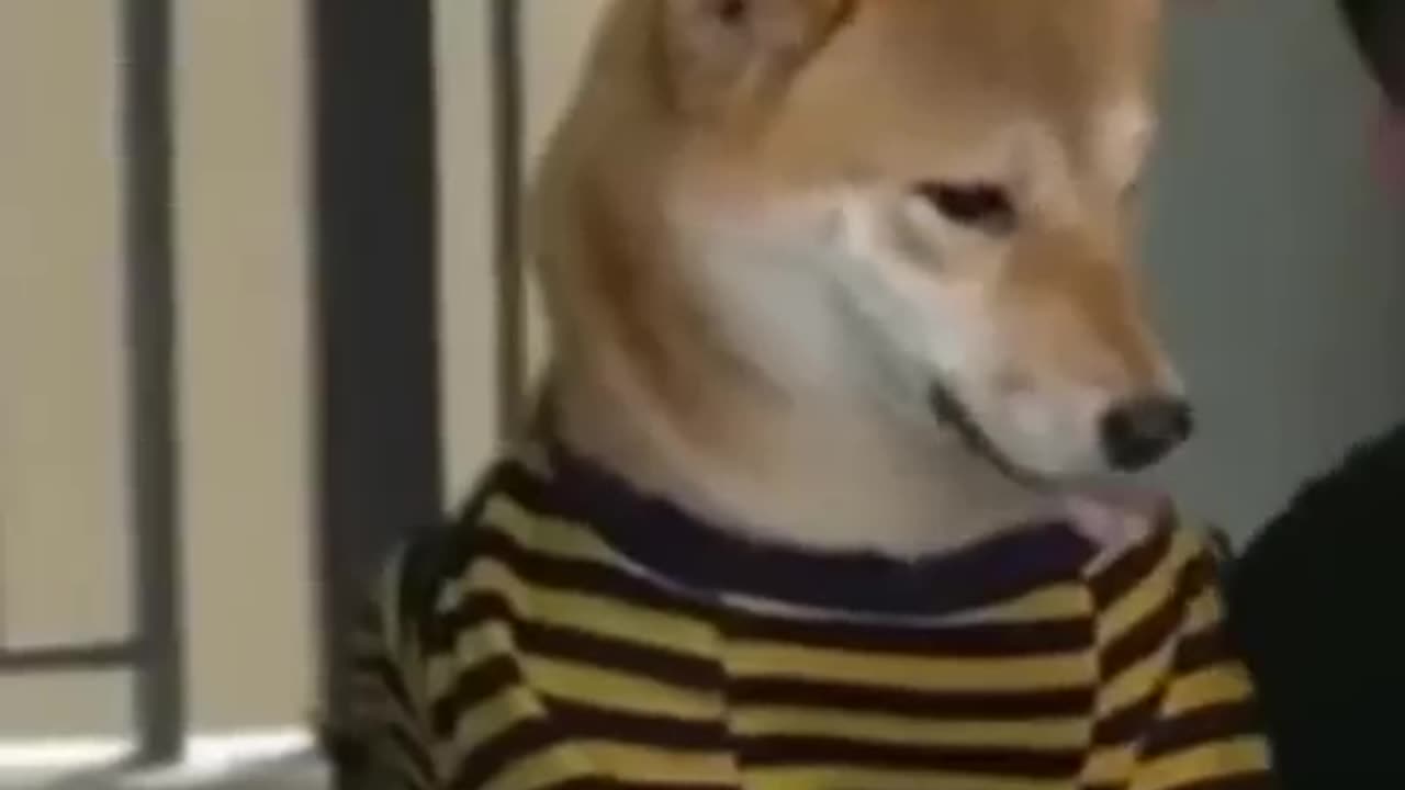 God video