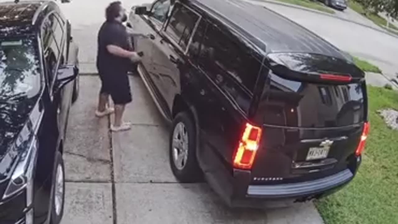 the cat stuck its paw in the door