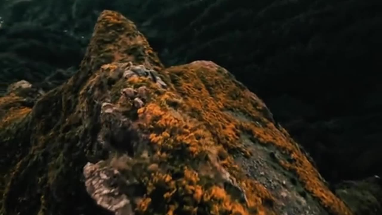 MOST BEAUTIFUL PLACE