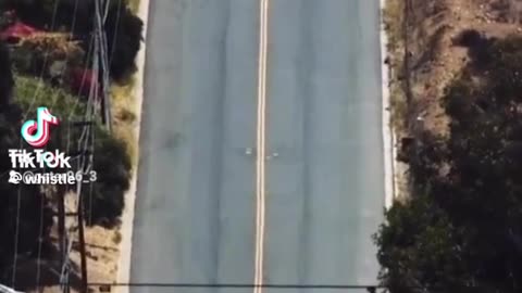 News Break: This is wild