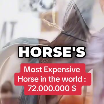 A new record has been set: this horse is worth more than 72 million dollars.