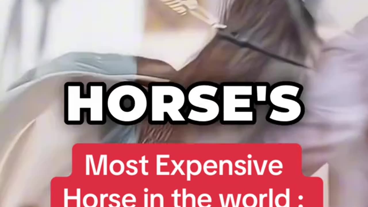 A new record has been set: this horse is worth more than 72 million dollars.