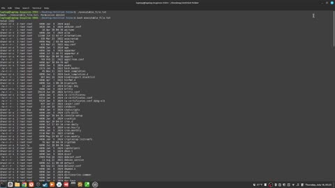 189_how to "run an executable file" with the "bash" command