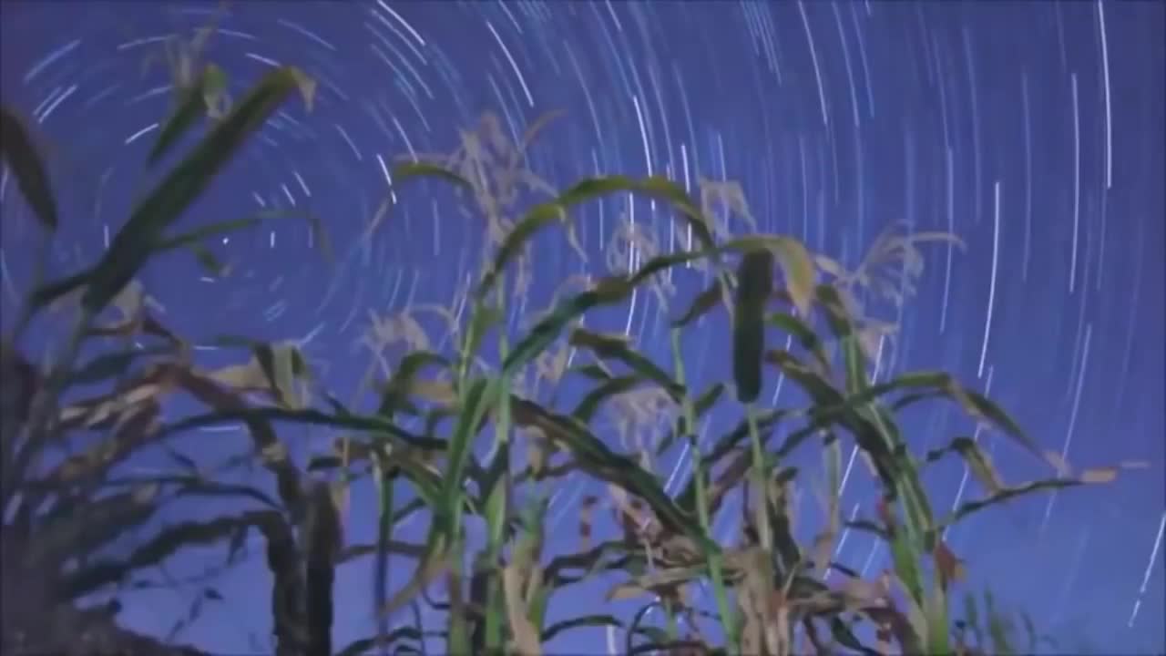 Storia perduta della Terra Piana 1 - 7 di 7