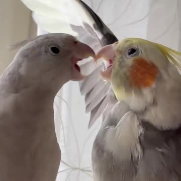 healthy relationships