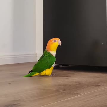 Stormtrooper perfect for the role 😂