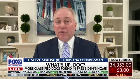 Steve Scalise: If GOP didn't win the House, do you think the public would know about the docs?